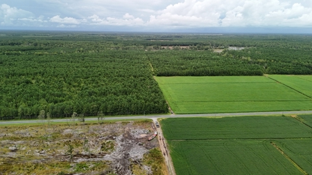 Rare 210-Acre Tract with Green's Creek Frontage - image 26