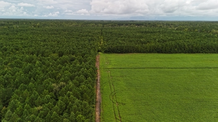 Rare 210-Acre Tract with Green's Creek Frontage - image 4