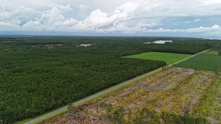 Rare 210-Acre Tract with Green's Creek Frontage - image 28