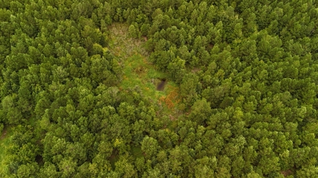 Rare 210-Acre Tract with Green's Creek Frontage - image 11