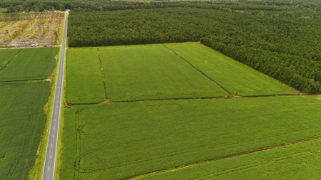 Rare 210-Acre Tract with Green's Creek Frontage - image 25