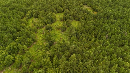 Rare 210-Acre Tract with Green's Creek Frontage - image 10