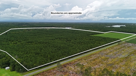 Rare 210-Acre Tract with Green's Creek Frontage - image 1