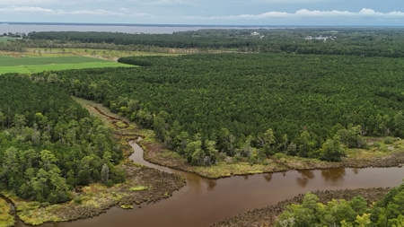 Rare 210-Acre Tract with Green's Creek Frontage - image 22