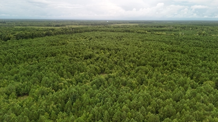 Rare 210-Acre Tract with Green's Creek Frontage - image 5