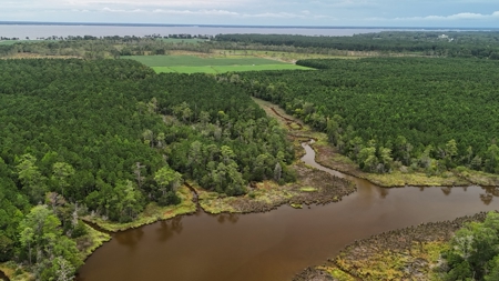 Rare 210-Acre Tract with Green's Creek Frontage - image 19