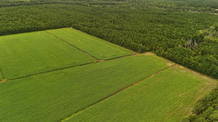 Rare 210-Acre Tract with Green's Creek Frontage - image 24