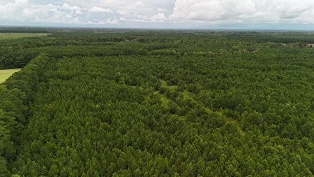 Rare 210-Acre Tract with Green's Creek Frontage - image 7