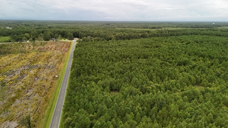 Rare 210-Acre Tract with Green's Creek Frontage - image 6
