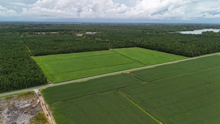 Rare 210-Acre Tract with Green's Creek Frontage - image 27