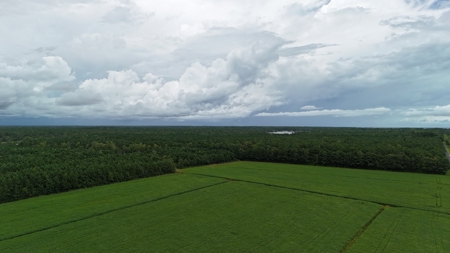 Rare 210-Acre Tract with Green's Creek Frontage - image 2