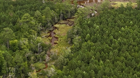 Rare 210-Acre Tract with Green's Creek Frontage - image 12