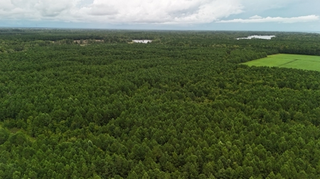 Rare 210-Acre Tract with Green's Creek Frontage - image 8