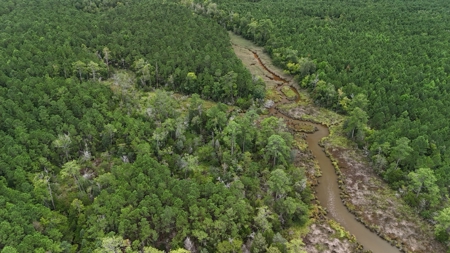 Rare 210-Acre Tract with Green's Creek Frontage - image 18
