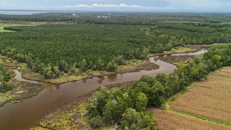Rare 210-Acre Tract with Green's Creek Frontage - image 21
