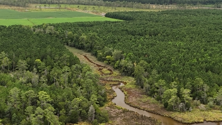 Rare 210-Acre Tract with Green's Creek Frontage - image 23