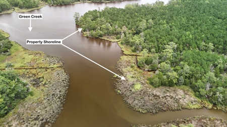 Rare 210-Acre Tract with Green's Creek Frontage - image 17