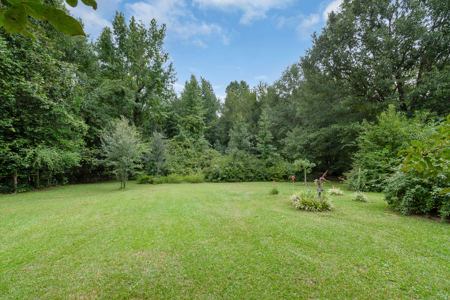 SC Country Home, 40 Acres, Pond, Fruit Trees, Patrick, SC - image 7
