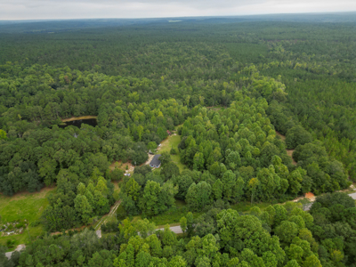 SC Country Home, 40 Acres, Pond, Fruit Trees, Patrick, SC - image 42