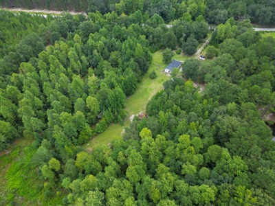 SC Country Home, 40 Acres, Pond, Fruit Trees, Patrick, SC - image 43