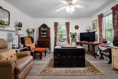 SC Country Home, 40 Acres, Pond, Fruit Trees, Patrick, SC - image 14