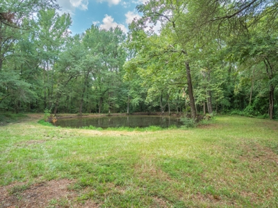 4BR-3.5BA Country Home on 6 Acres Winnsboro Wood County Texas - image 45