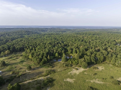 Country Home For Sale In Evening Shade AR - image 35