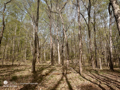 Lake front property on High Rock Lake - image 17