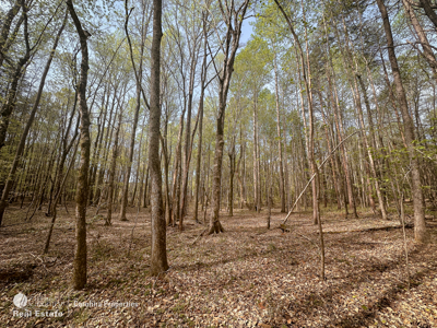 Lake front property on High Rock Lake - image 16