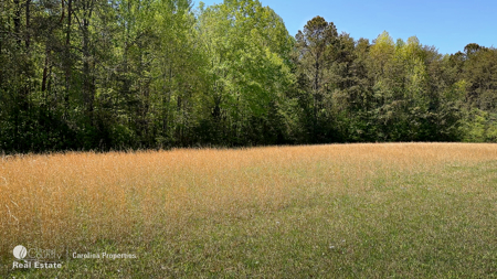 Lake front property on High Rock Lake - image 22