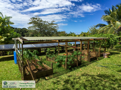 Turnkey Island Compound – Ideal for Family or Investment - image 25