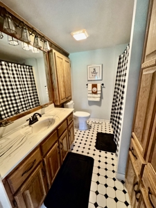 Charming Log Cabin with Modern Comforts on 4.28 Acres - image 8