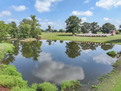 Winnsboro Texas 378 Acre Ranch 2 Homes, Workshop, Barns, Corralls - image 42