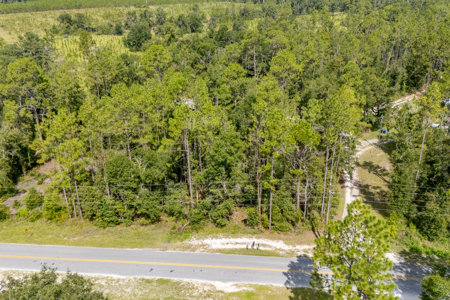 Residential Land Lot for Sale in Live Oak, Florida - image 12