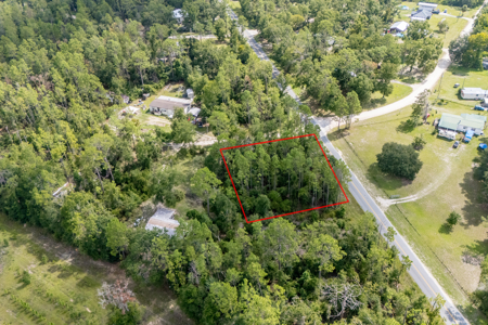 Residential Land Lot for Sale in Live Oak, Florida - image 6