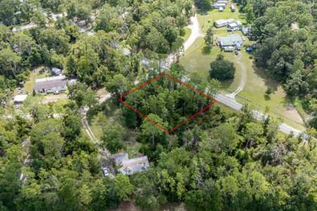 Residential Land Lot for Sale in Live Oak, Florida - image 7