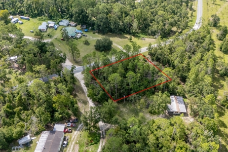 Residential Land Lot for Sale in Live Oak, Florida - image 9