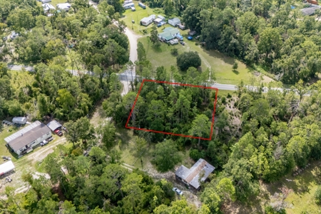 Residential Land Lot for Sale in Live Oak, Florida - image 8