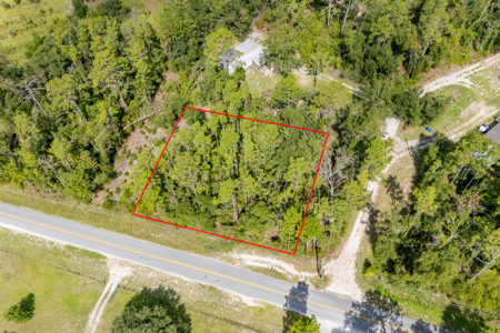 Residential Land Lot for Sale in Live Oak, Florida - image 1