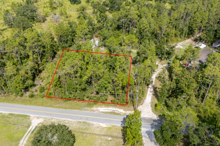 Residential Land Lot for Sale in Live Oak, Florida - image 11