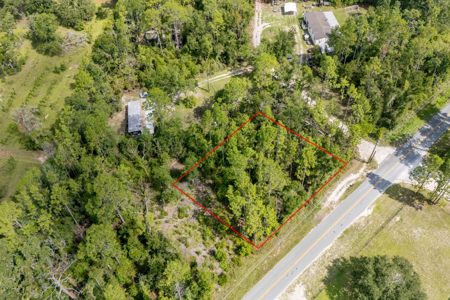 Residential Land Lot for Sale in Live Oak, Florida - image 3