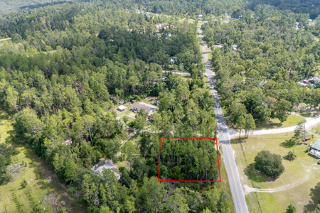 Residential Land Lot for Sale in Live Oak, Florida - image 5