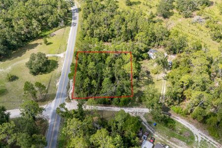 Residential Land Lot for Sale in Live Oak, Florida - image 10