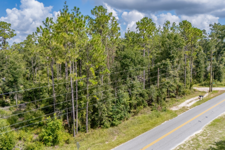 Residential Land Lot for Sale in Live Oak, Florida - image 14