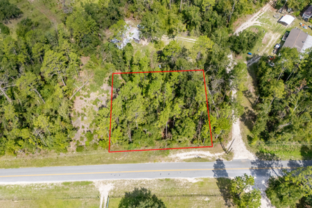 Residential Land Lot for Sale in Live Oak, Florida - image 2