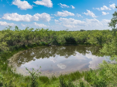 Charming Home on 10 Acres – 7600 CR 200, Brownwood - image 10