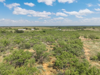 Charming Home on 10 Acres – 7600 CR 200, Brownwood - image 9