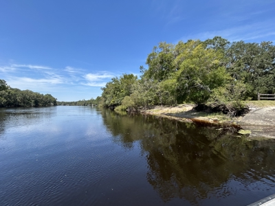 18.5 Acres on the Suwannee River – A Rare Waterfront Opportunity! - image 3