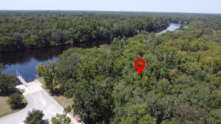 18.5 Acres on the Suwannee River – A Rare Waterfront Opportunity! - image 4