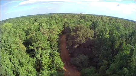 Thomaston, Alabama Family Hunting and Homesite Property for Sale - image 21